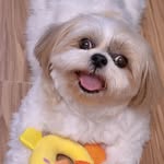 arbee0525 profile picture