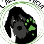 arcadinicia profile picture