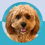 archiegladwemet profile picture