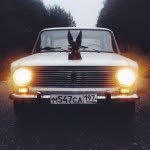archive_makhlina_bolshakov profile picture