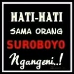 ardiansyah.achyar profile picture