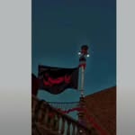 areej.fatima08 profile picture