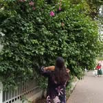 areli_zeni profile picture