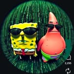 arey_shailesh00 profile picture