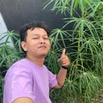 arfanjanuar profile picture
