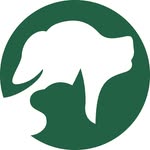 arfhamptons profile picture