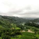 arga_batavia profile picture
