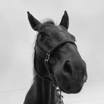 ariamason.eq profile picture
