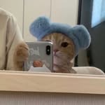arielkytsya profile picture