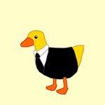 arif.welp profile picture