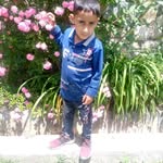 arifa___begum______ profile picture