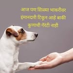 arihapatni profile picture