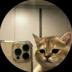 arikytsya profile picture