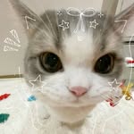 arisha58974 profile picture