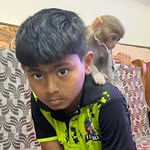 arish_c_s_k_ profile picture