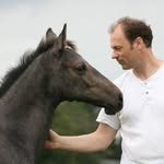 arjanschermer profile picture