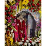 arjun8454070988 profile picture