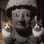 arkeolojievreni profile picture