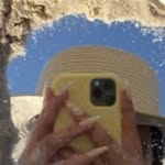 armadillo.1096883 profile picture