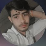 armadillo.8056036 profile picture