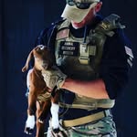 arminvestigations profile picture
