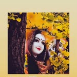 army_lover_rj18wala profile picture