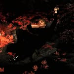 arnaudlajeunie profile picture