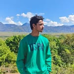 arpan_chaudhary1 profile picture