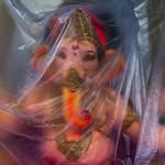 arrah.jilla profile picture