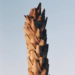 arranandjules profile picture