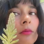 arribaelsolabajoelreflejo profile picture