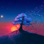 arrowkey22 profile picture