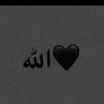 arshk21442020 profile picture
