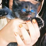 art_by_suhana0786 profile picture