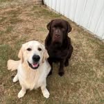 artemis__and__apollo profile picture