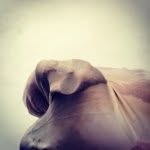 arthurdeborman profile picture