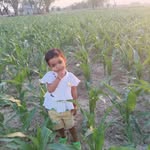 arti357725 profile picture