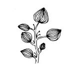 artistswonders profile picture