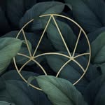 artvillascostarica profile picture