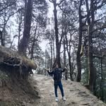 arunbhardwaj1375 profile picture