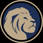 aryeh_strategic_partners profile picture