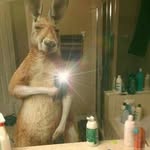 aryowisnuu profile picture