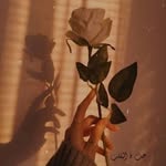 as_d55j profile picture