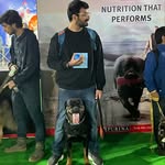 ashishnarula12 profile picture