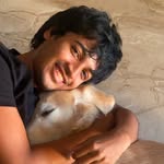 ashishxz profile picture
