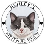 ashleyskittenacademy profile picture