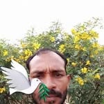 ashok600358 profile picture