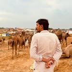 ashok_rajput_96 profile picture