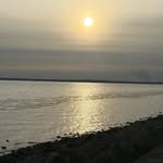 ashu_m.din profile picture