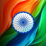 ashvin_timbadiya profile picture